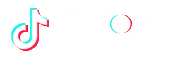 TikTok Partner